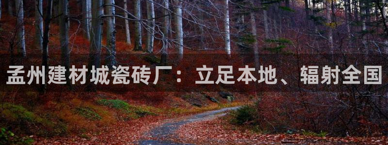 杏鑫平台注册地址在哪里