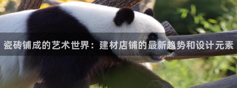 杏鑫平台代理怎么样可靠吗