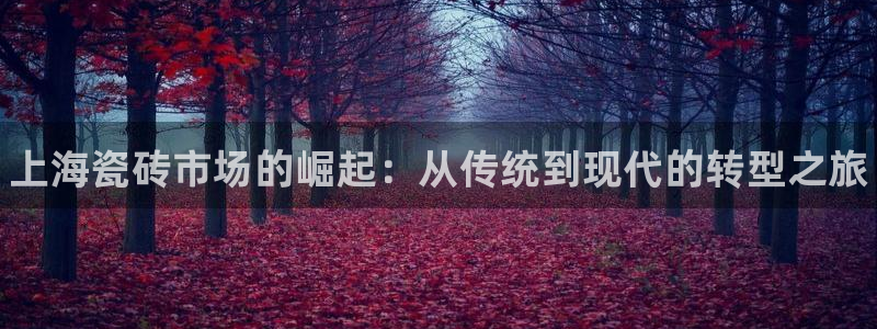 杏鑫官网最新信息新闻