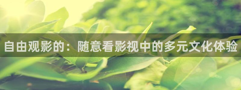 真不卡影院电影盒子免费观看