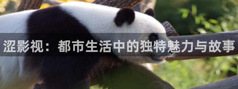 .真不卡影院