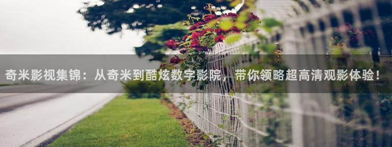 偷偷藏不住真不卡影院：奇米影视集锦：从奇米到酷炫数字影院，带你领略超高清观影体验！