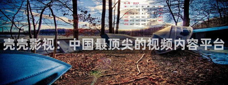 真不卡影院电视剧：壳壳影视：中国最顶尖的视频内容平台