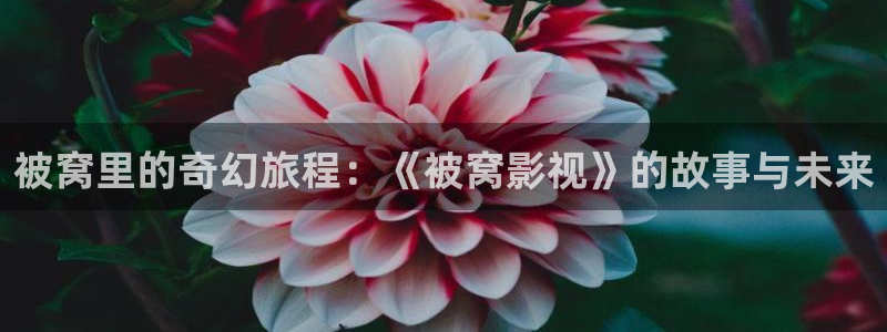 真不卡影院免费观看：被窝里的奇幻旅程：《被窝影视》的故事与未来