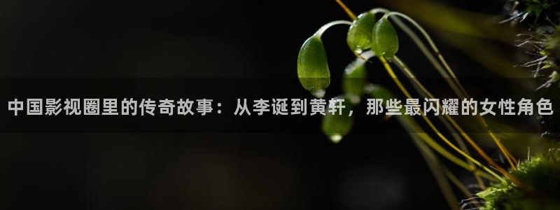真不卡影院官网