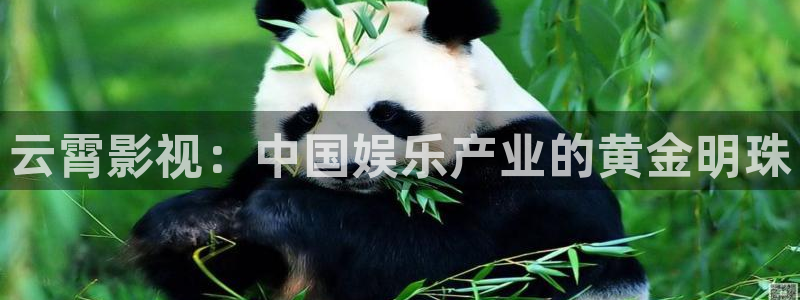 真不卡影院电视剧在线观看免费